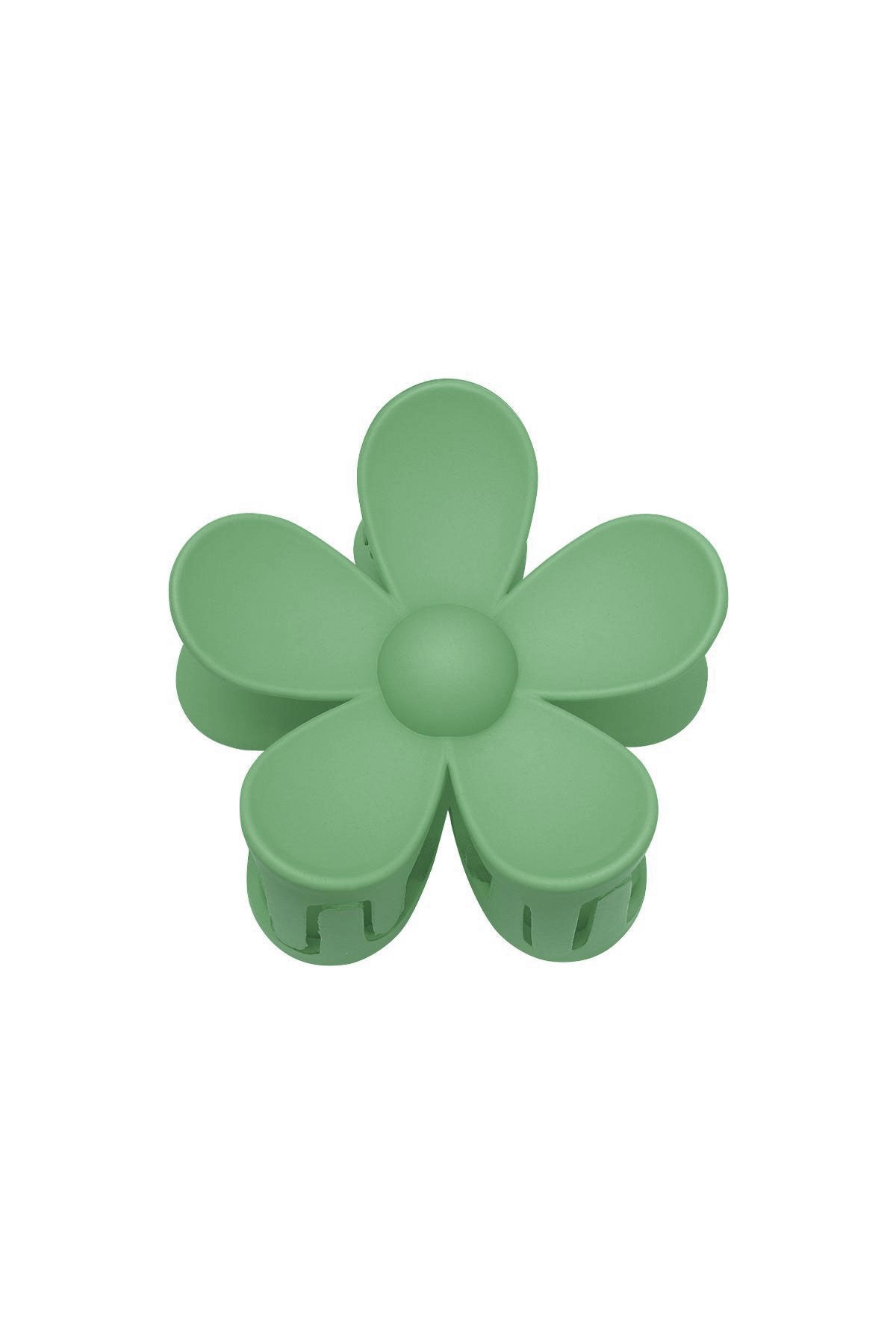 Haarklem bloem