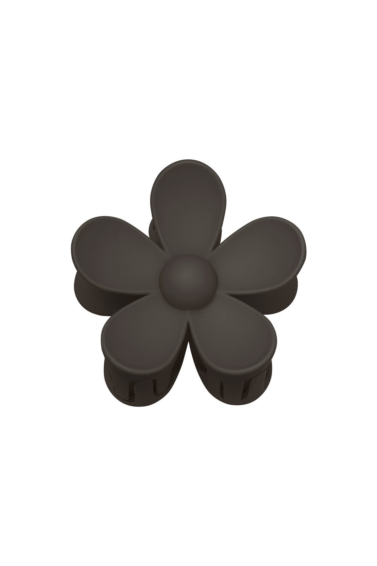 Haarklem bloem