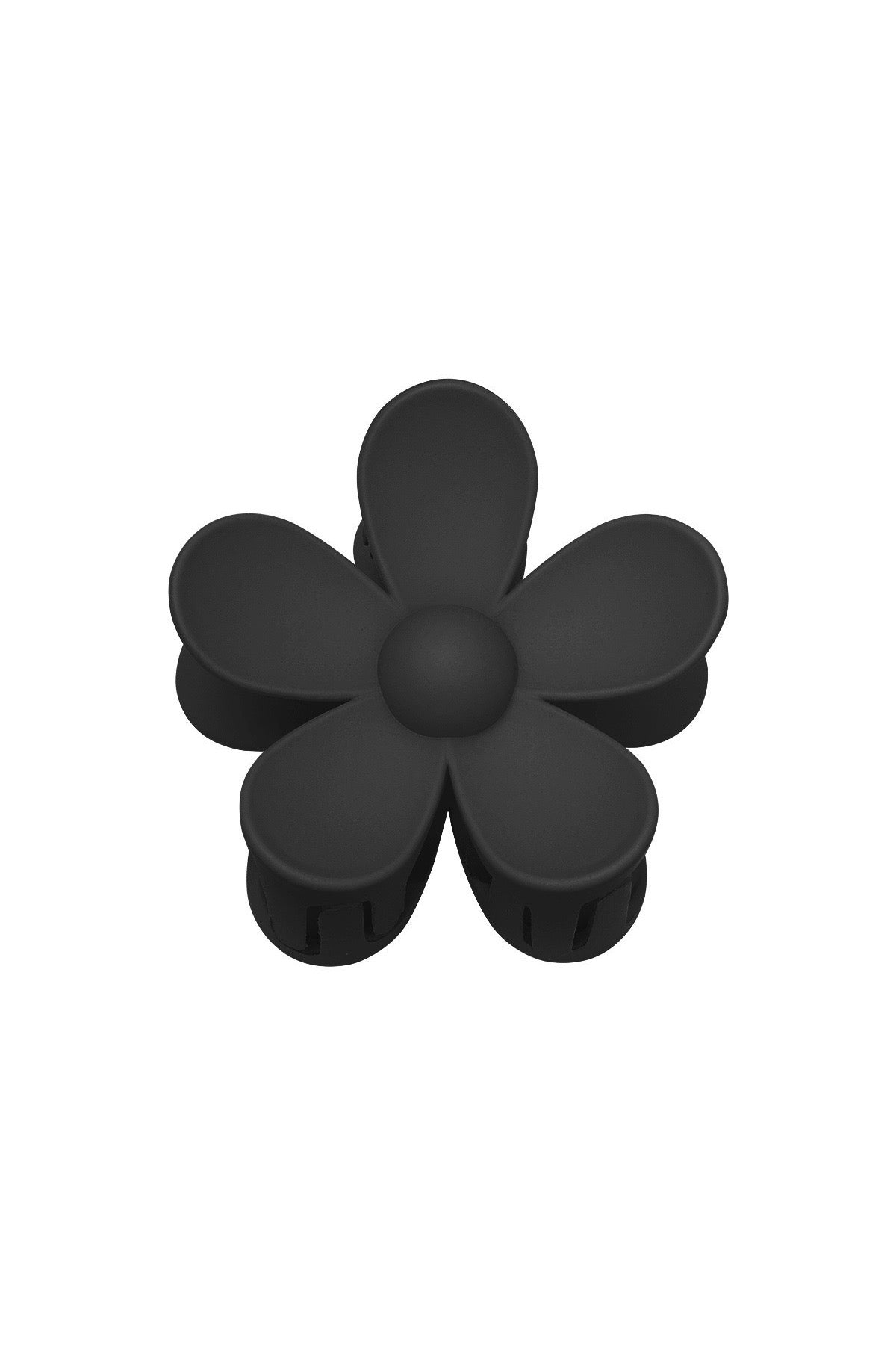 Haarklem bloem