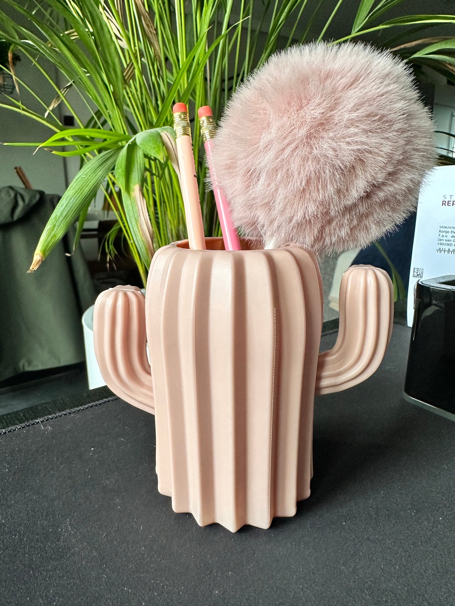 Pennenhouder Cactus