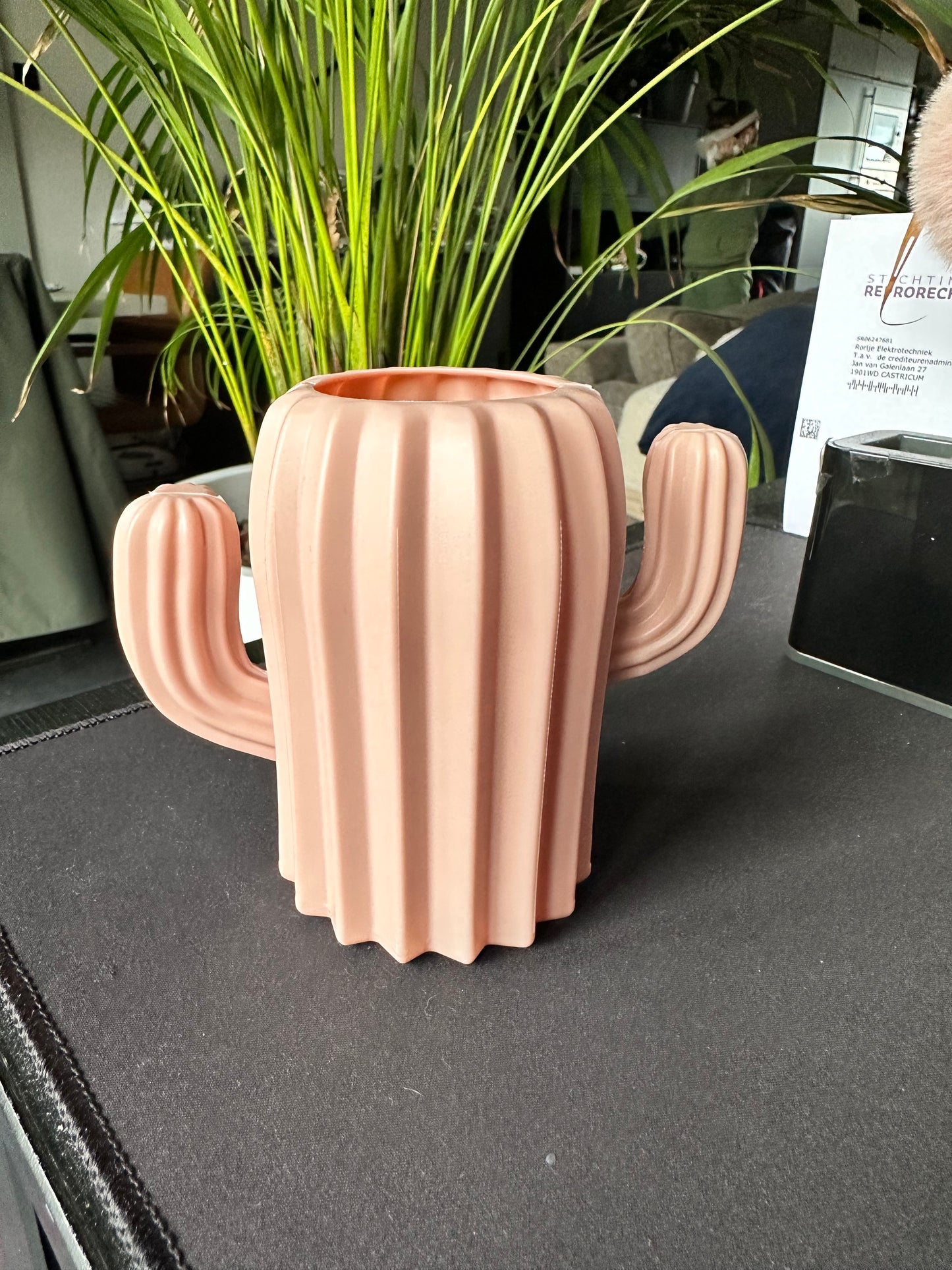 Pennenhouder Cactus